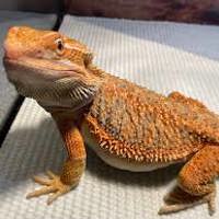Jethro777