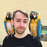 Kyledb95