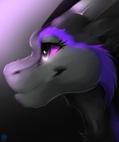 Lillythedragon