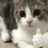 Minchu