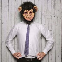 Mr_Monkey