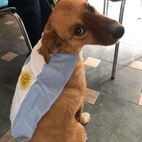 Nandeta
