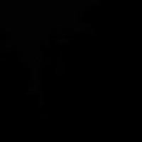 Neomasster