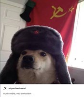 P0T4T0