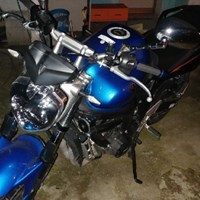 Palomo88