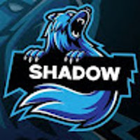 ShadowFinch355