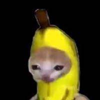 Skippyb1