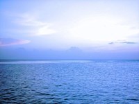 SonoSoloCM