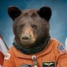 Spacebear96