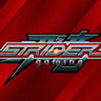 Strides88