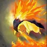 THUNDERintheSKY