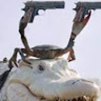 Yeehaw18