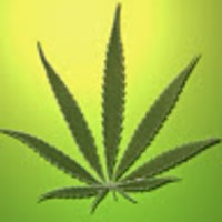 ZulBig