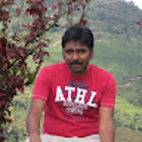 balak31