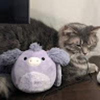 camfire
