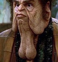 cockswollowgist