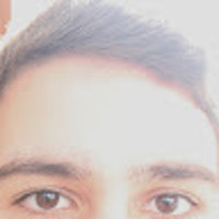 daniep