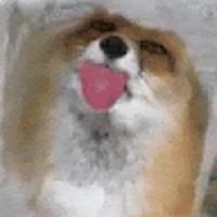 foxythepancake