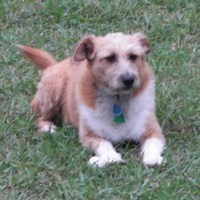 fraggles04