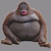 gamerfat