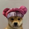 gamingdoge
