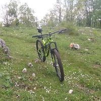 gippobest