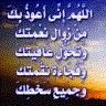 hawas919