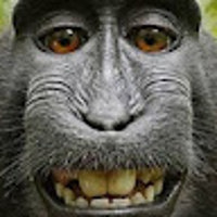 jspciari