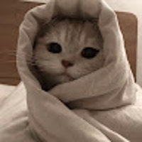 kasuuu