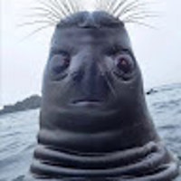 kennytheshrek