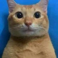 leorykun