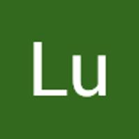 lu1989