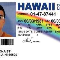 mclovin69