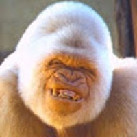mikke