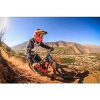 pipelon
