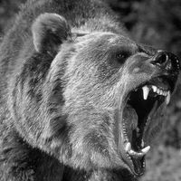 ridemarti