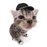 scoober