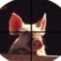 steevee