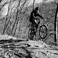 wildchild84