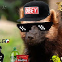 wolver